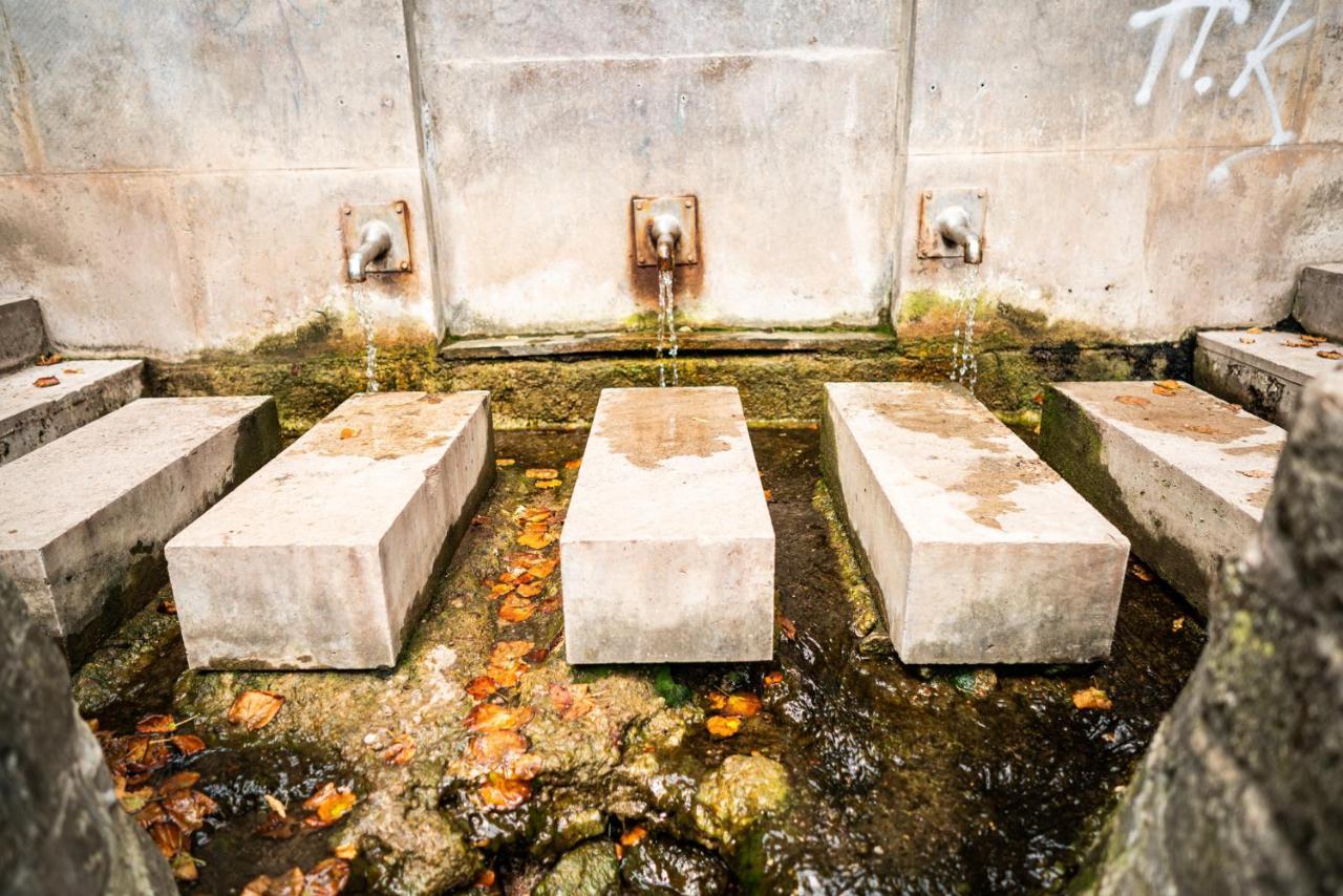 Dreibrunnen Gastehaus Im Luisenpark Hotel แอร์ฟวร์ท ภายนอก รูปภาพ