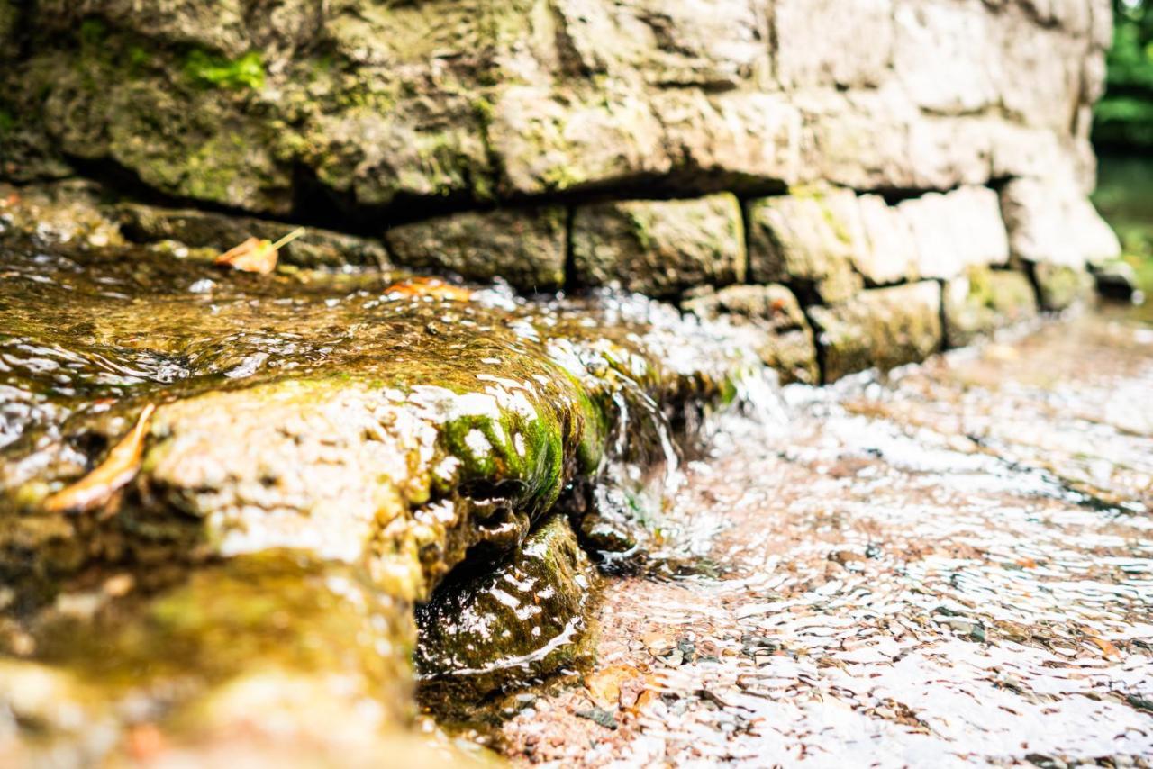 Dreibrunnen Gastehaus Im Luisenpark Hotel แอร์ฟวร์ท ภายนอก รูปภาพ